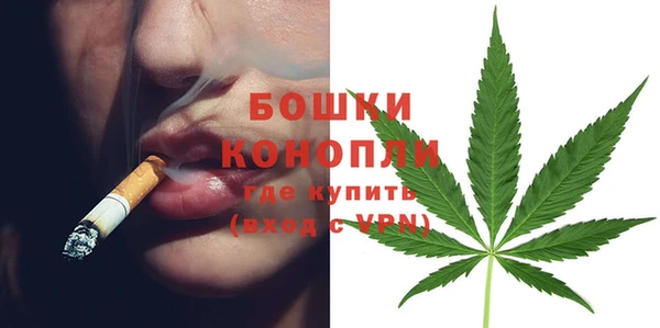 стафф Володарск
