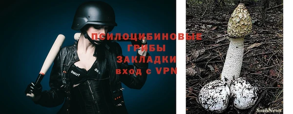 стафф Володарск