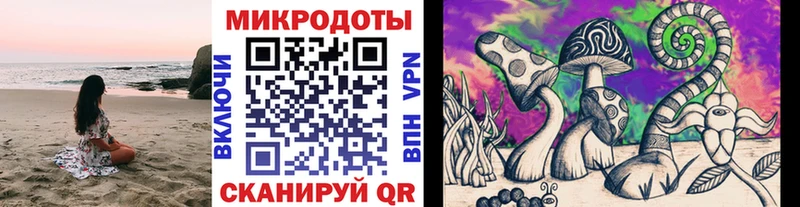 Галлюциногенные грибы Psilocybe  купить наркоту  MEGA как зайти  Подпорожье 